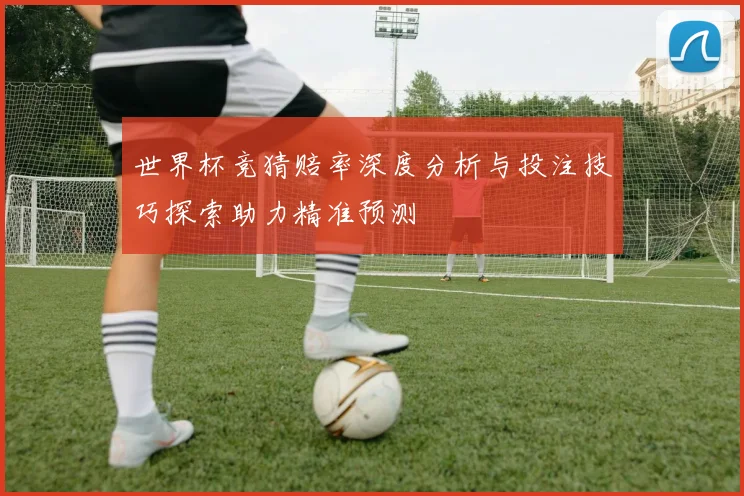 世界杯竞猜赔率深度分析与投注技巧探索助力精准预测