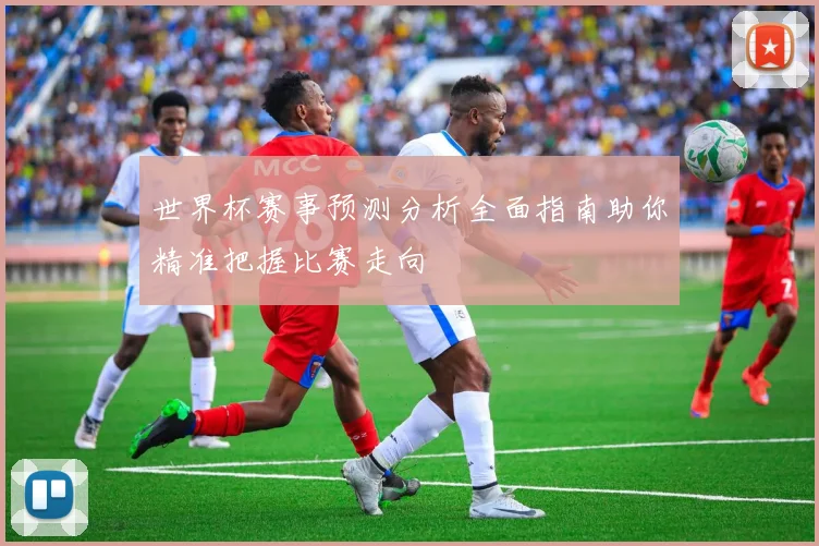 世界杯赛事预测分析全面指南助你精准把握比赛走向