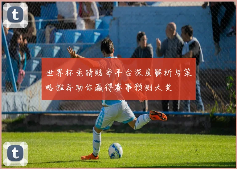 世界杯竞猜赔率平台深度解析与策略推荐助你赢得赛事预测大奖