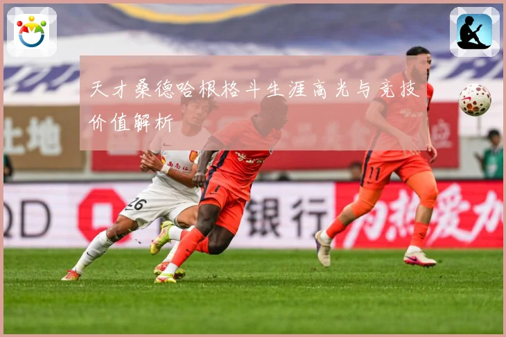 天才桑德哈根格斗生涯高光与竞技价值解析