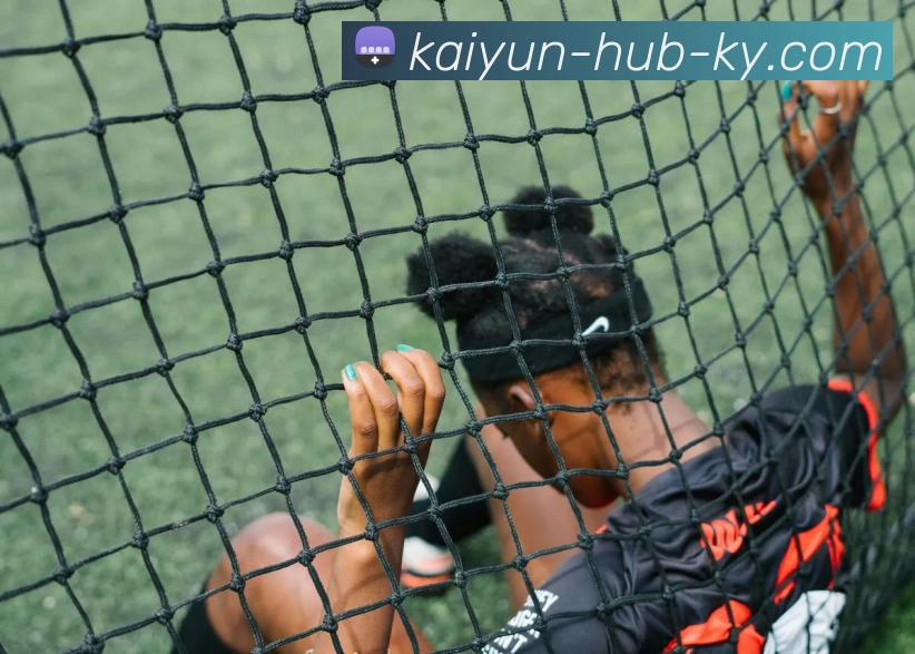 开云平台生态图